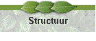 Structuur