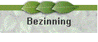 Bezinning